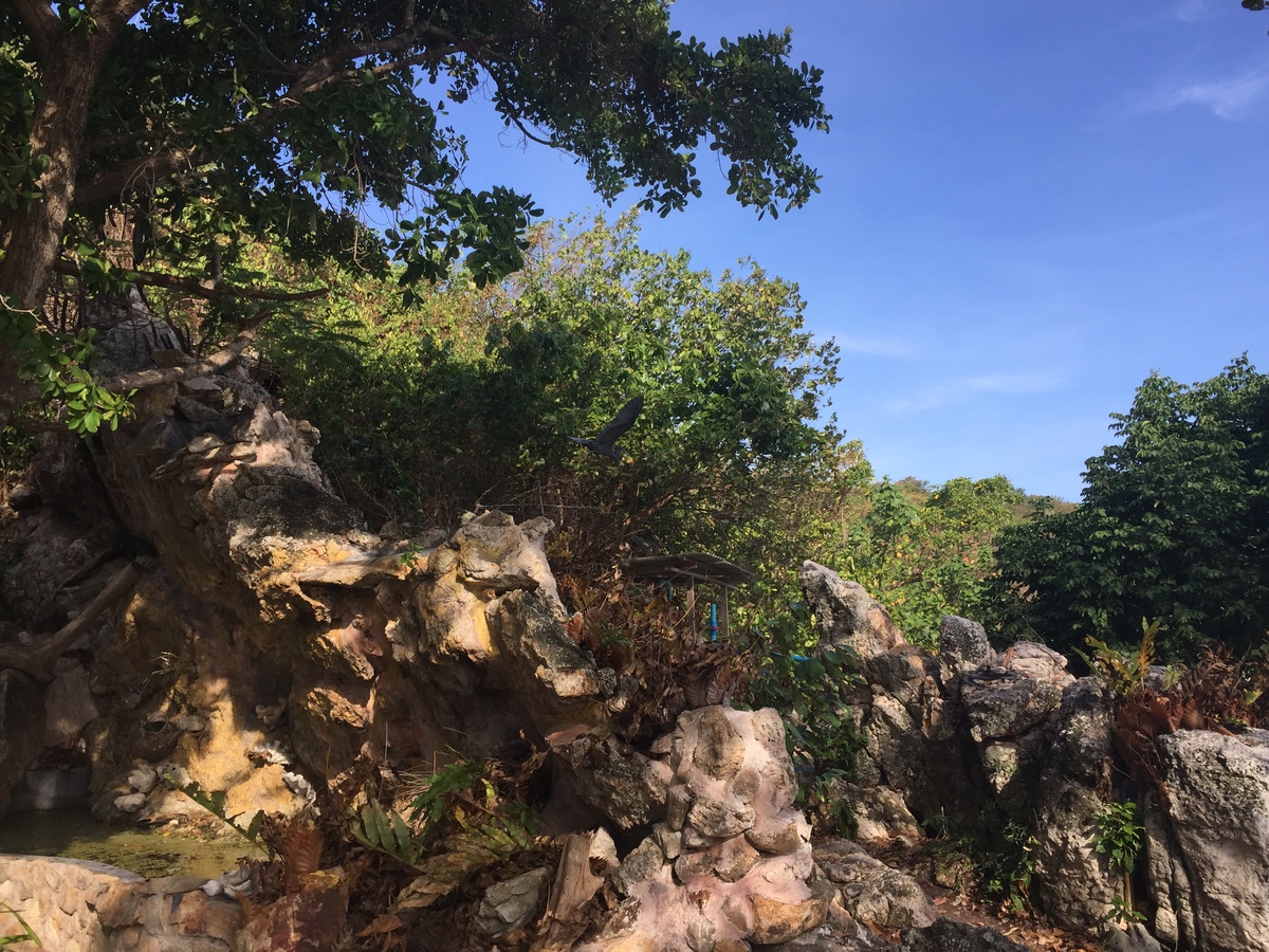 รูปถ่าย ไทย(Thailand) เกาะเสม็ด(Ko Samet) 2016-12 41