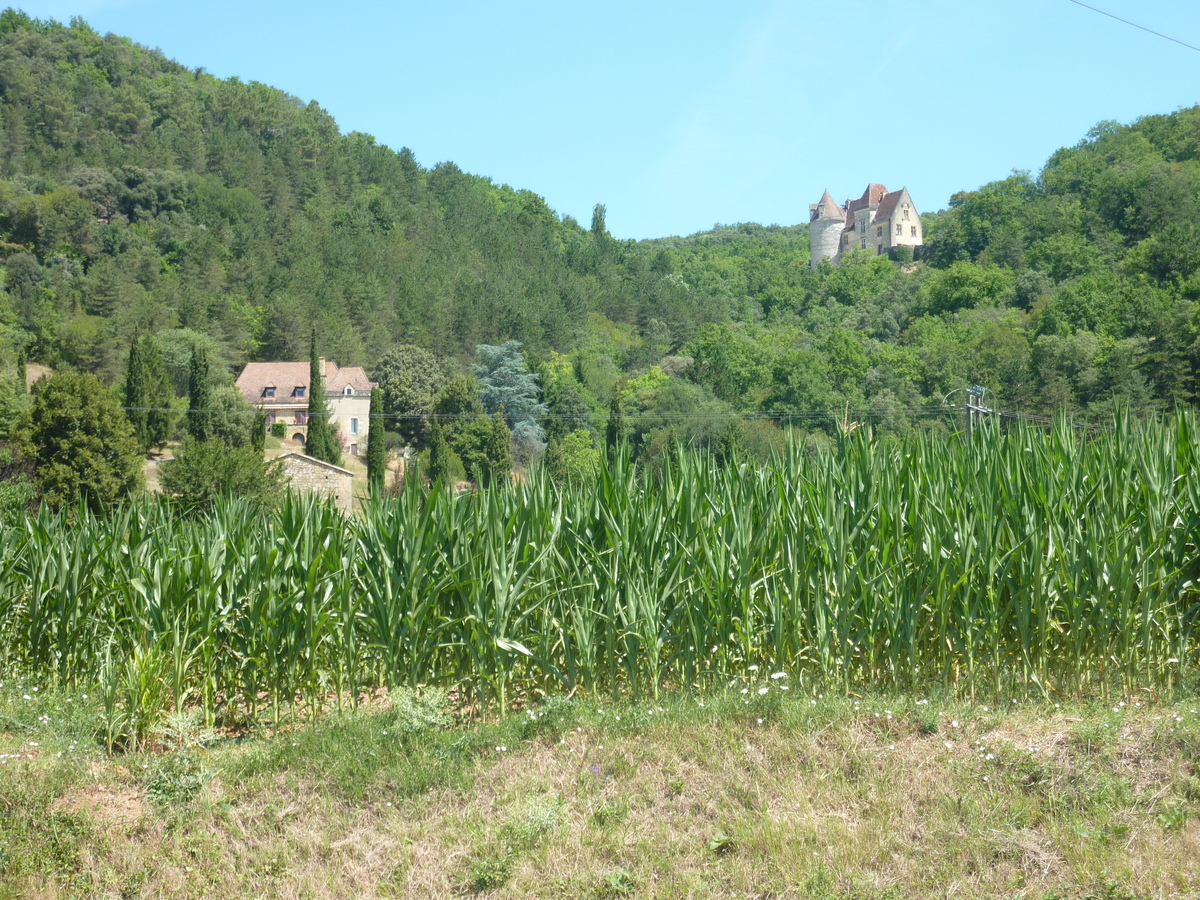 รูปถ่าย ฝรั่งเศส(France) เปรีกอร์(Perigord) 2009-07 12