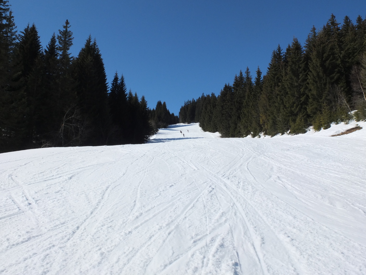 รูปถ่าย ฝรั่งเศส(France) ก็องบลู(Combloux) 2012-02 83