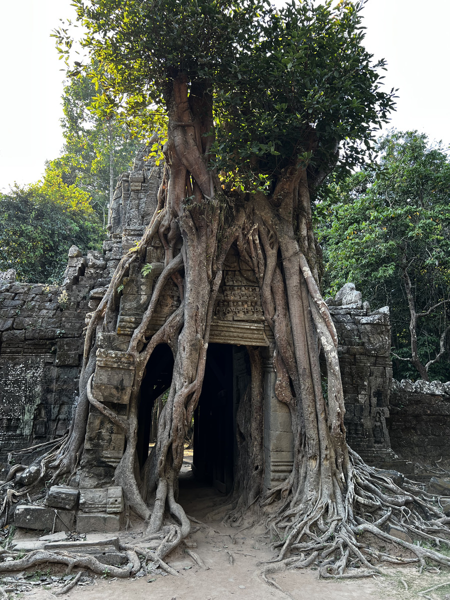 รูปถ่าย กัมพูชา(Cambodia) เสียมราฐ(Siem Reap) ปราสาทตาสม(Ta Som) 2023-01 36