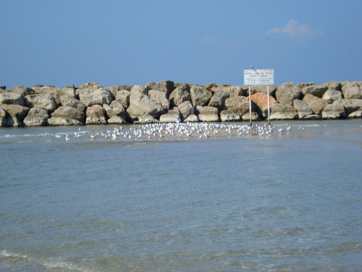รูปถ่าย อิสราเอล(Israel) เฮิร์สลียา(Herzliya) 2006-12 32