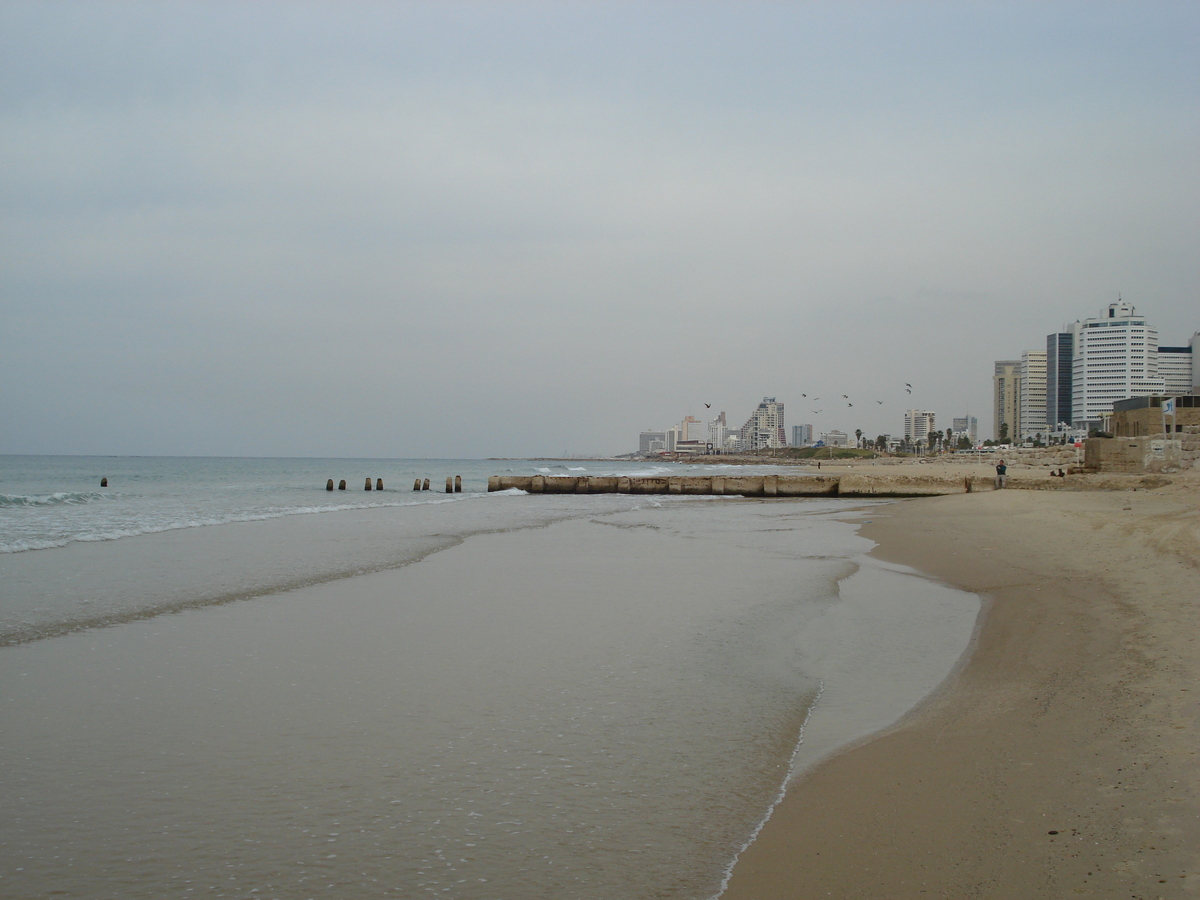 รูปถ่าย อิสราเอล(Israel) เทลอาวีฟ(Tel Aviv) ชายหาดเทลอาวีฟ(Tel Aviv Sea Shore) 2006-12 298