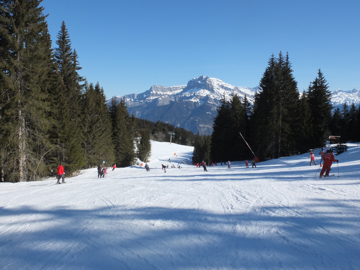 รูปถ่าย ฝรั่งเศส(France) ก็องบลู(Combloux) 2012-02 95