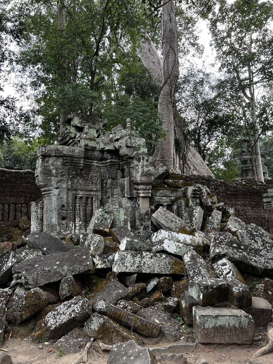 รูปถ่าย กัมพูชา(Cambodia) เสียมราฐ(Siem Reap) ปราสาทตาพรหม(Ta Prohm) 2023-01 81