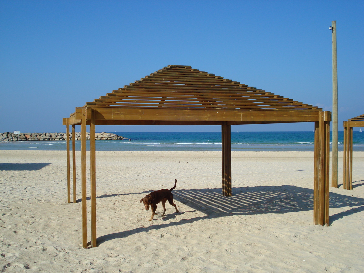 รูปถ่าย อิสราเอล(Israel) เฮิร์สลียา(Herzliya) 2006-12 55