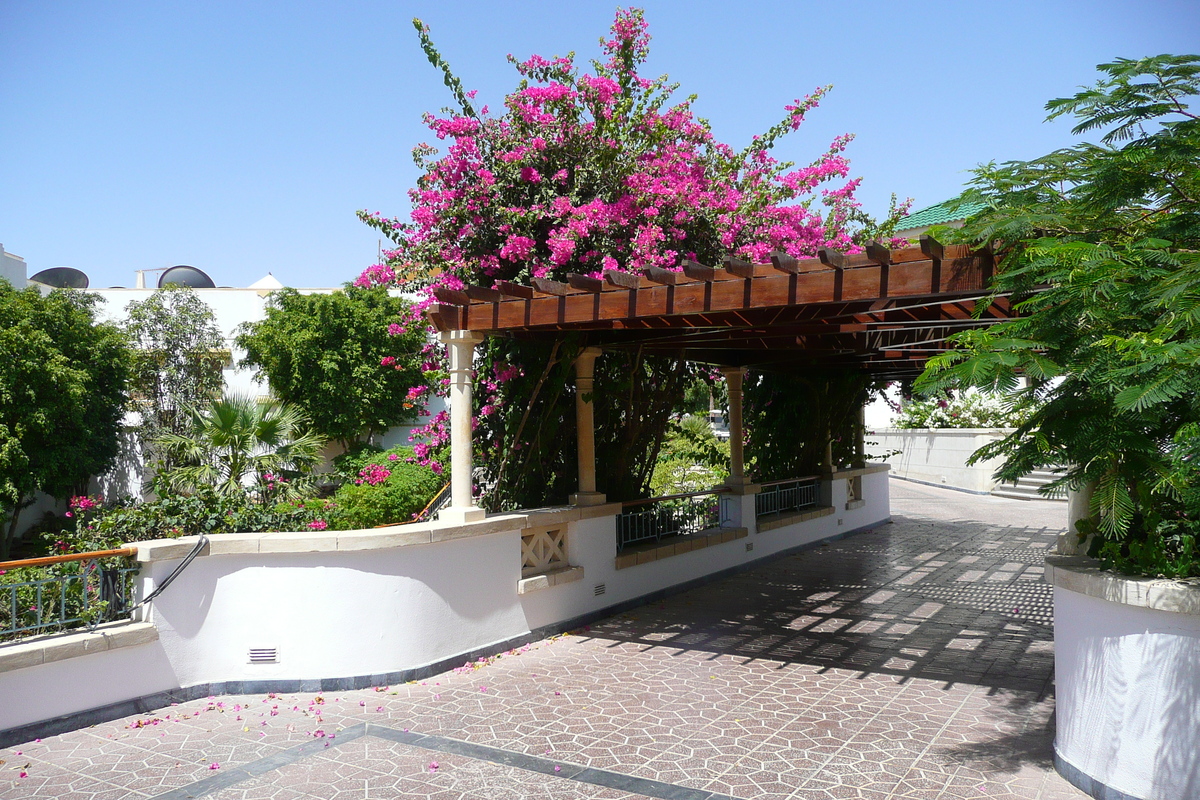 รูปถ่าย อียิปต์(Egypt) ชาร์มเอลชีค(Sharm el Sheikh) โรงแรมไฮแอต(Hyatt Hotel) 2008-06 66