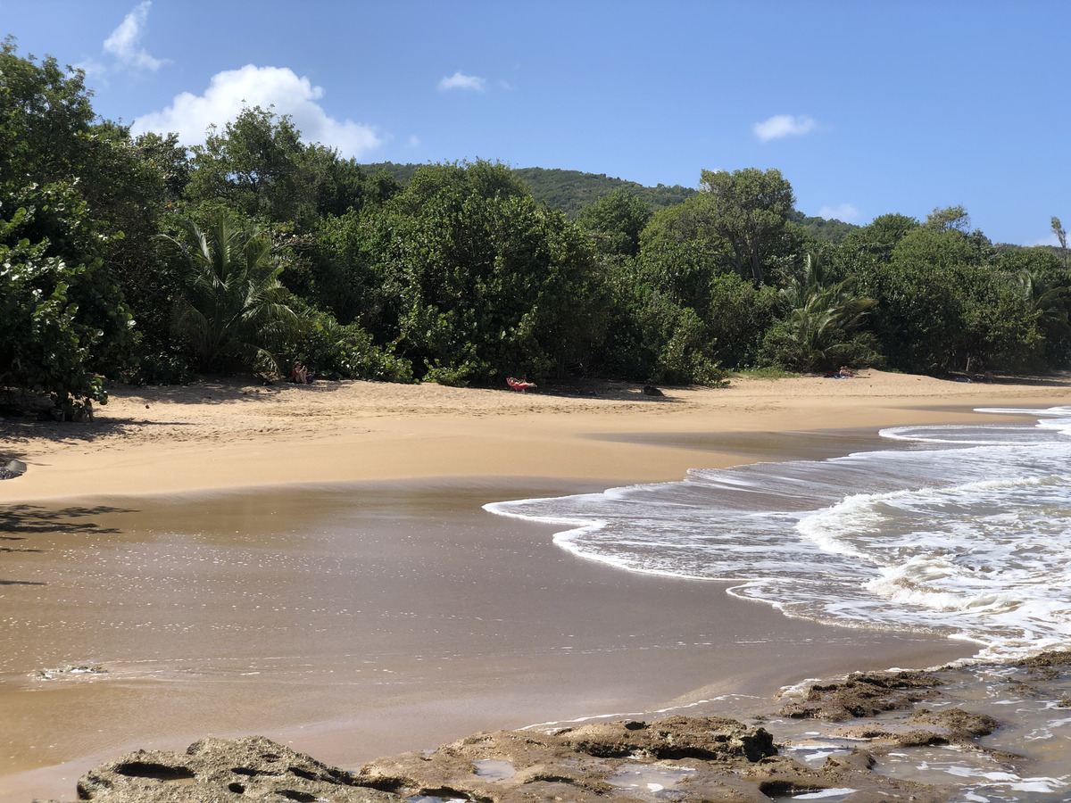 รูปถ่าย กวาเดอลูป(Guadeloupe) หาดกลูญี(Clugny Beach) 2021-02 5