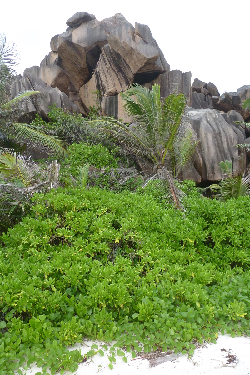 รูปถ่าย เซเชลส์(Seychelles) 2011-10 47
