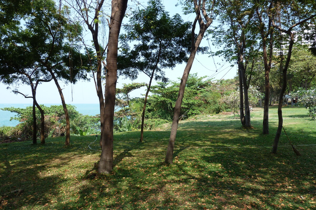 รูปถ่าย ไทย(Thailand) พัทยา(Pattaya) หาดโคซี่(Cosy Beach) 2011-01 70