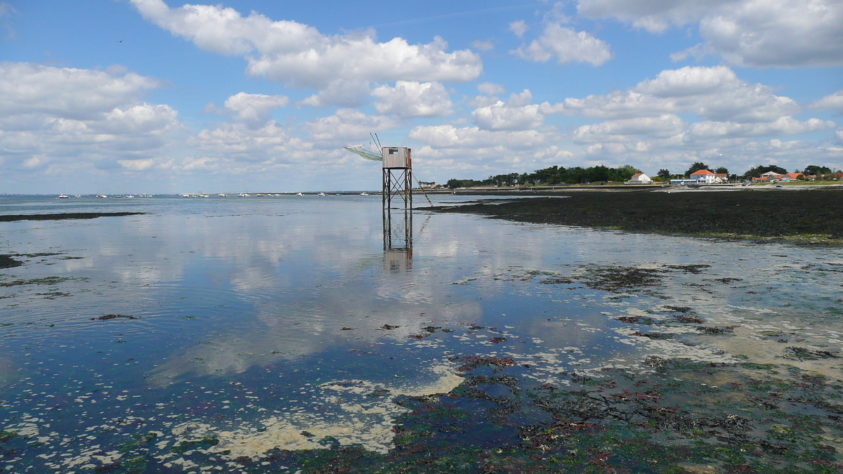 รูปถ่าย ฝรั่งเศส(France) เพรฟาย(Prefailles) จากแหลมแซ็ง-ฌีลดาไปลาเปร(La pointe Saint Gildas to La Pree) 2007-08 59