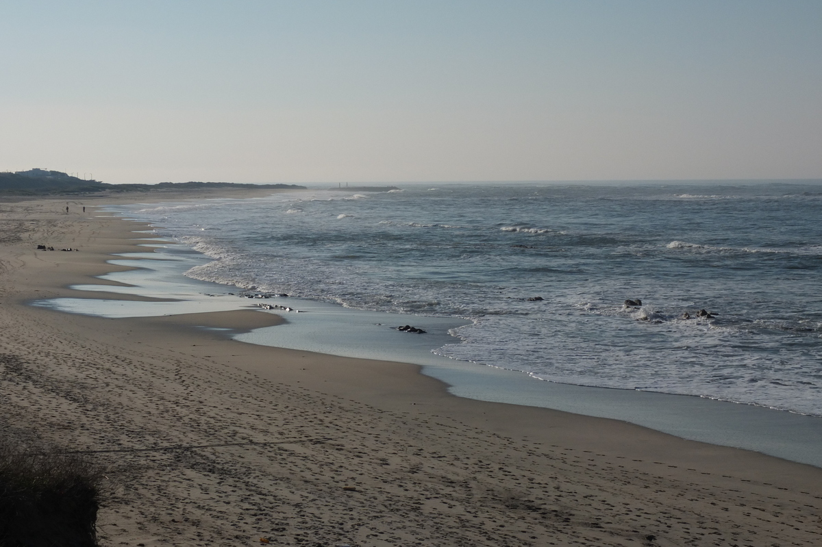 รูปถ่าย โปรตุเกส(Portugal) วีอานาดูกัชเตลู(Viana do Castelo) 2013-01 2