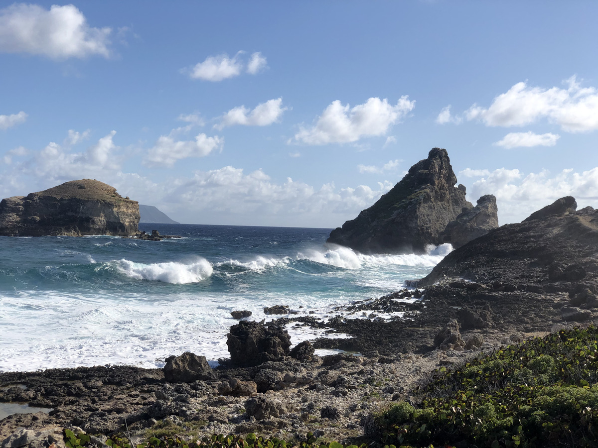 รูปถ่าย กวาเดอลูป(Guadeloupe) แหลมคาสเซิลพอยต์(Castle Point) 2021-02 351