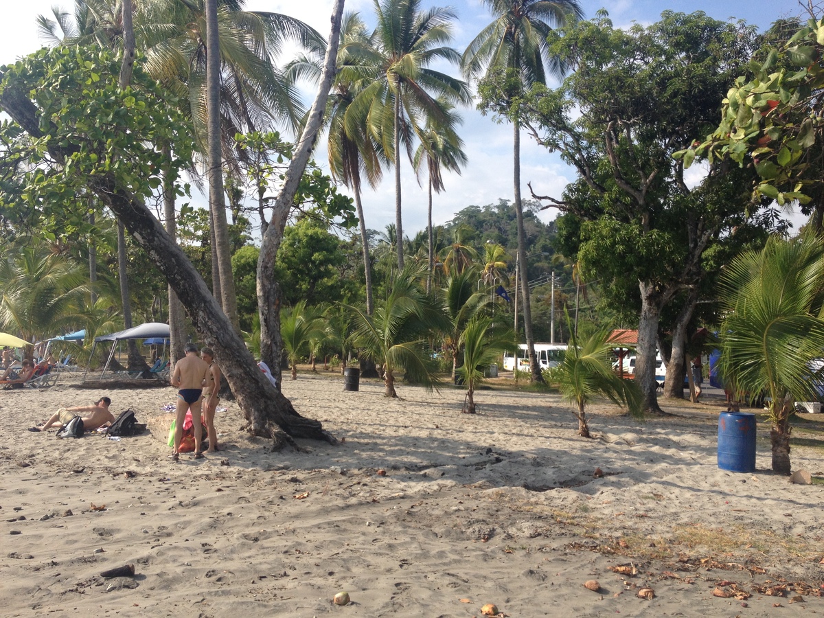 รูปถ่าย คอสตาริกา(Costa Rica) มานวยล์อันโตนีโอ(Manuel Antonio) 2015-03 365