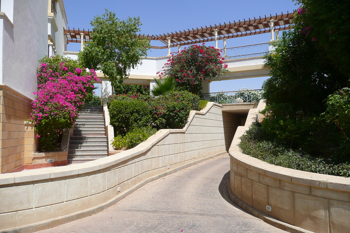 รูปถ่าย อียิปต์(Egypt) ชาร์มเอลชีค(Sharm el Sheikh) โรงแรมไฮแอต(Hyatt Hotel) 2008-06 87