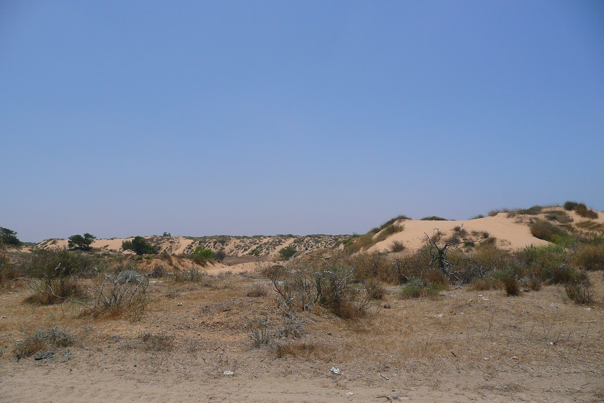 รูปถ่าย อิสราเอล(Israel) นิทซาน(Nitzan) 2007-06 104
