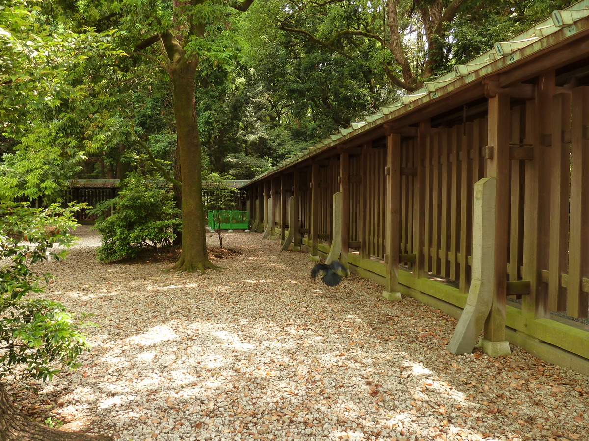 รูปถ่าย ญี่ปุ่น(Japan) โตเกียว(Tokyo) สวนโยโยงิ(Yoyogi Park) 2010-06 41