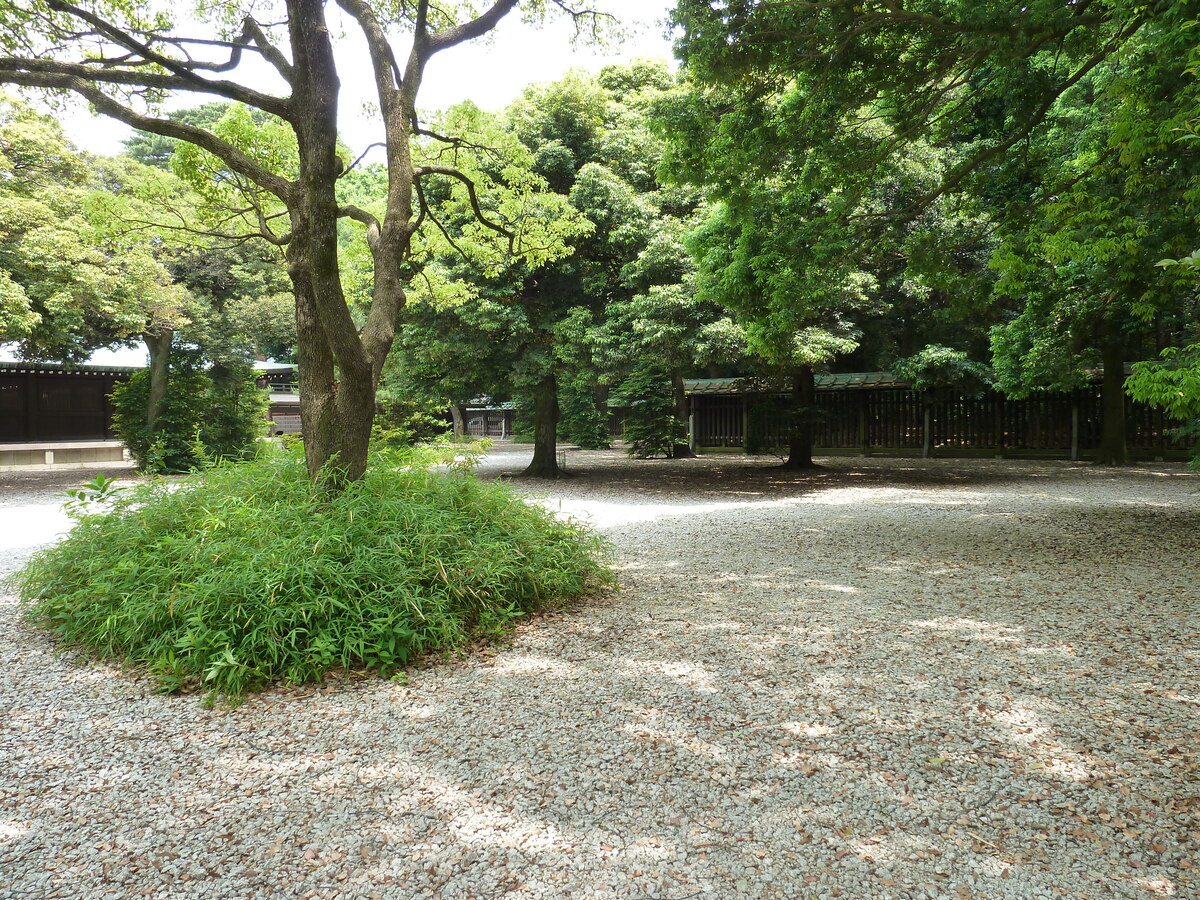 รูปถ่าย ญี่ปุ่น(Japan) โตเกียว(Tokyo) สวนโยโยงิ(Yoyogi Park) 2010-06 37