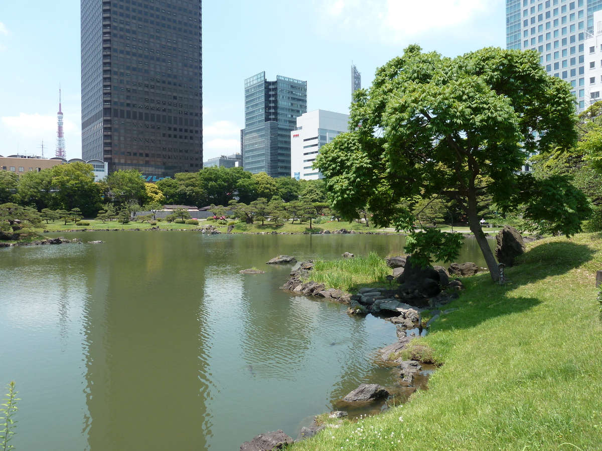 รูปถ่าย ญี่ปุ่น(Japan) โตเกียว(Tokyo) สวนคิวชิบะริคิว(Kyu Shiba rikyu Gardens) 2010-06 6