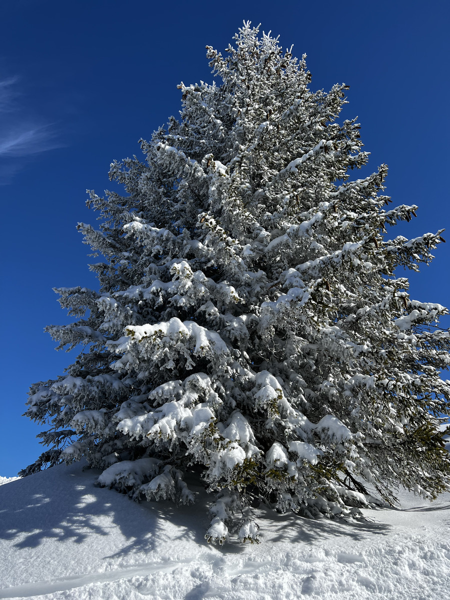 รูปถ่าย ฝรั่งเศส(France) เมแฌฟว์(Megeve) 2022-02 11
