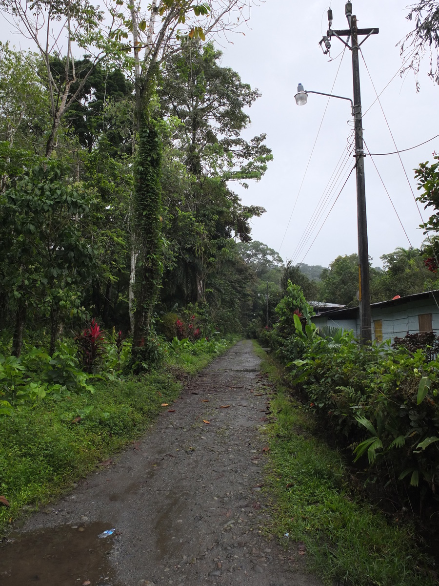 รูปถ่าย คอสตาริกา(Costa Rica) ปวยร์โตเบียโฆเดตาลามังกา(Puerto Viejo de Talamanca) 2015-03 20