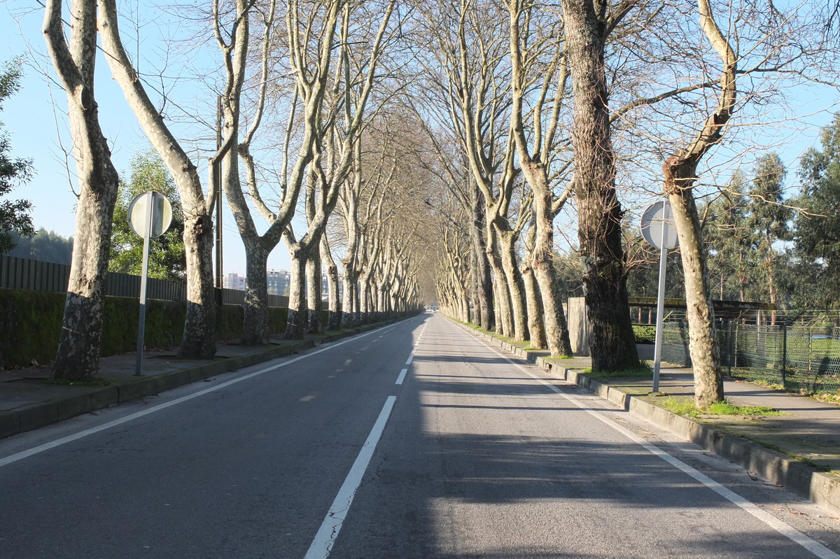 รูปถ่าย โปรตุเกส(Portugal) วีอานาดูกัชเตลู(Viana do Castelo) 2013-01 20