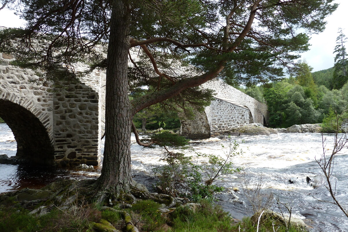 รูปถ่าย อังกฤษ(United Kingdom) สกอตแลนด์(Scotland) อุทยานแห่งชาติแคร์นกอร์มส์(Cairngorms National Park) สะพานอินเวอร์คอลด์(Invercauld Bridge) 2011-07 12