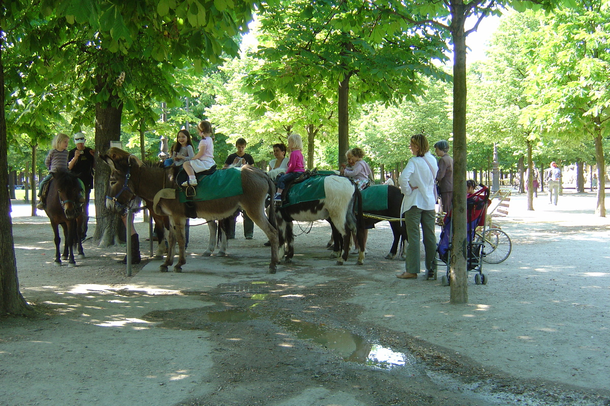รูปถ่าย ฝรั่งเศส(France) ปารีส(Paris) สวนตุยเลอรี(Garden of Tuileries) 2007-05 357