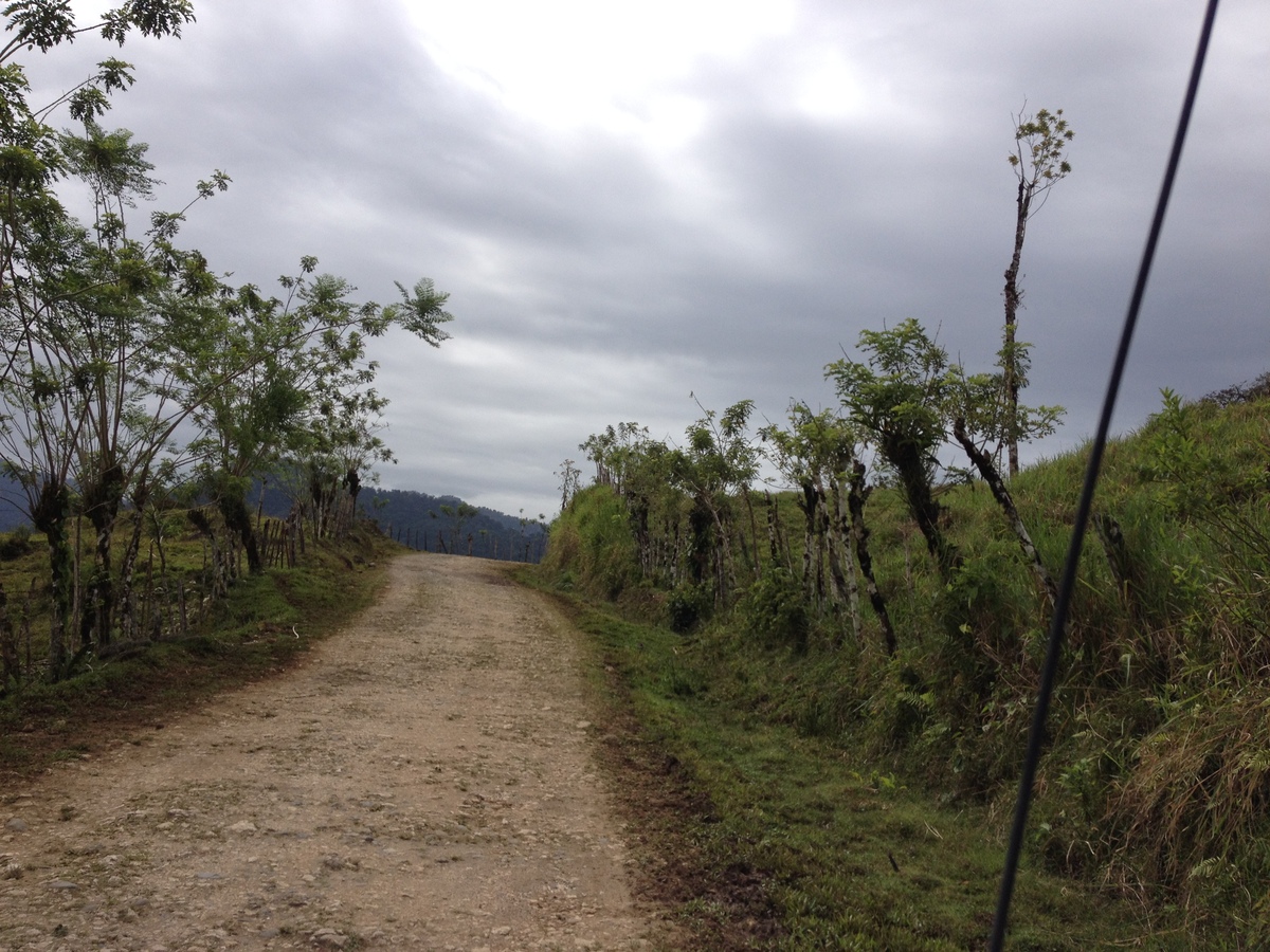 รูปถ่าย คอสตาริกา(Costa Rica) แม่น้ำปากัวเร(Pacuare River) 2015-03 110