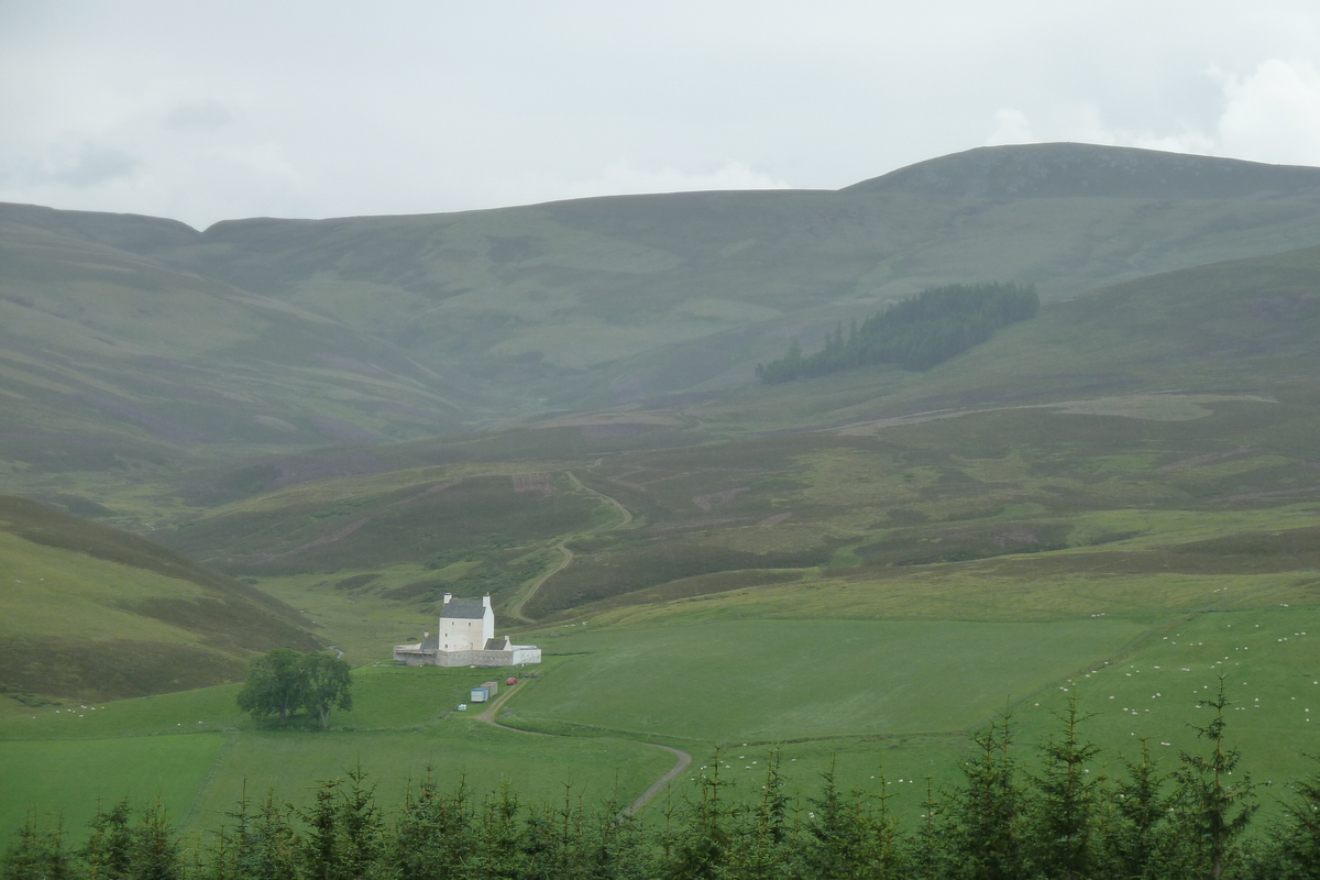 รูปถ่าย อังกฤษ(United Kingdom) อุทยานแห่งชาติแคร์นกอร์มส์(Cairngorms National Park) 2011-07 117