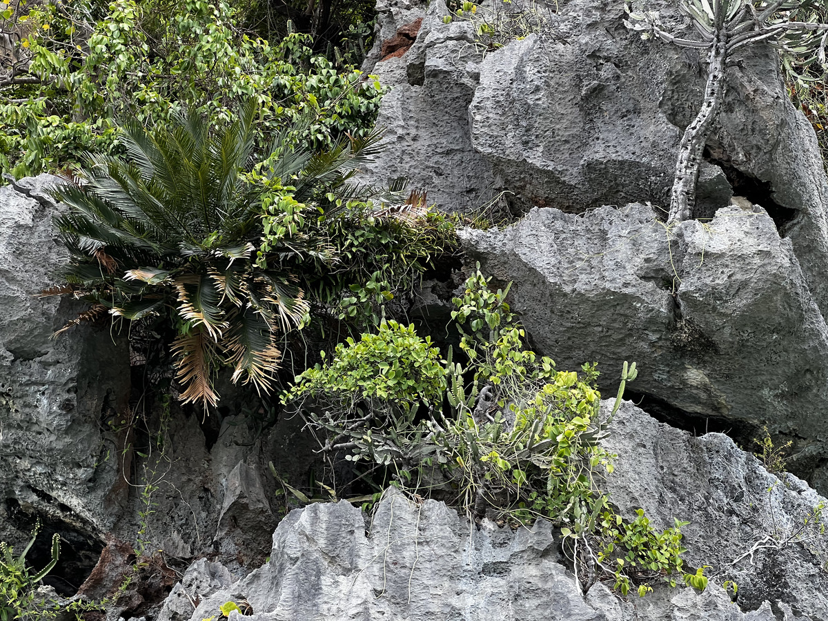 รูปถ่าย ไทย(Thailand) กระบี่(Krabi) 2023-01 312