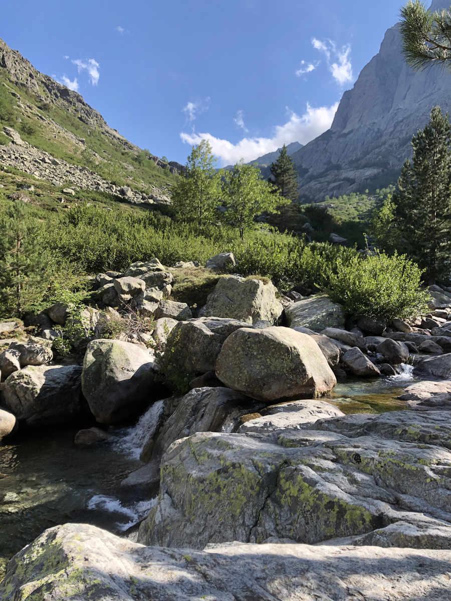รูปถ่าย ฝรั่งเศส(France) คอร์สิคา(Corsica) หุบเขาลาเรสโตนีกา(La Restonica) 2020-07 45