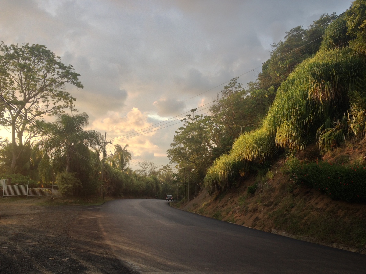 รูปถ่าย คอสตาริกา(Costa Rica) 2015-03 82