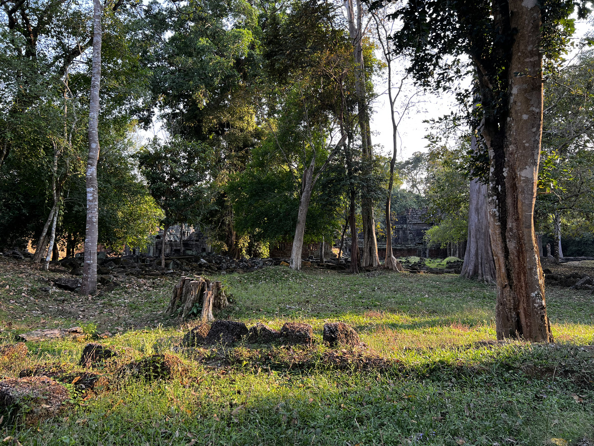รูปถ่าย กัมพูชา(Cambodia) เสียมราฐ(Siem Reap) ปราสาทพระขรรค์(Preah Khan) 2023-01 71