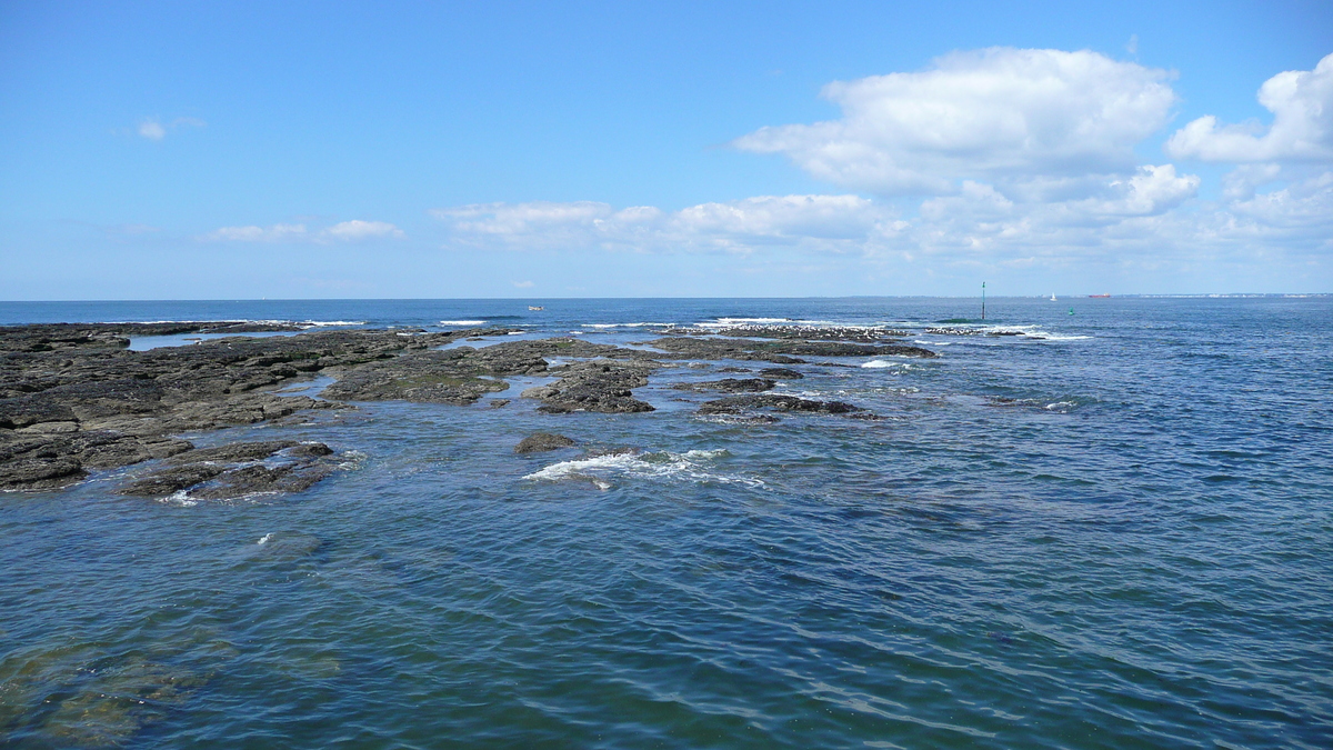 รูปถ่าย ฝรั่งเศส(France) เพรฟาย(Prefailles) แหลมแซ็ง-ฌีลดา(La pointe Saint Gildas) 2007-08 57