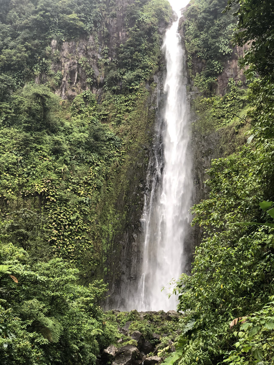 รูปถ่าย กวาเดอลูป(Guadeloupe) น้ำตกการ์เบ(Carbet Falls) 2021-02 51