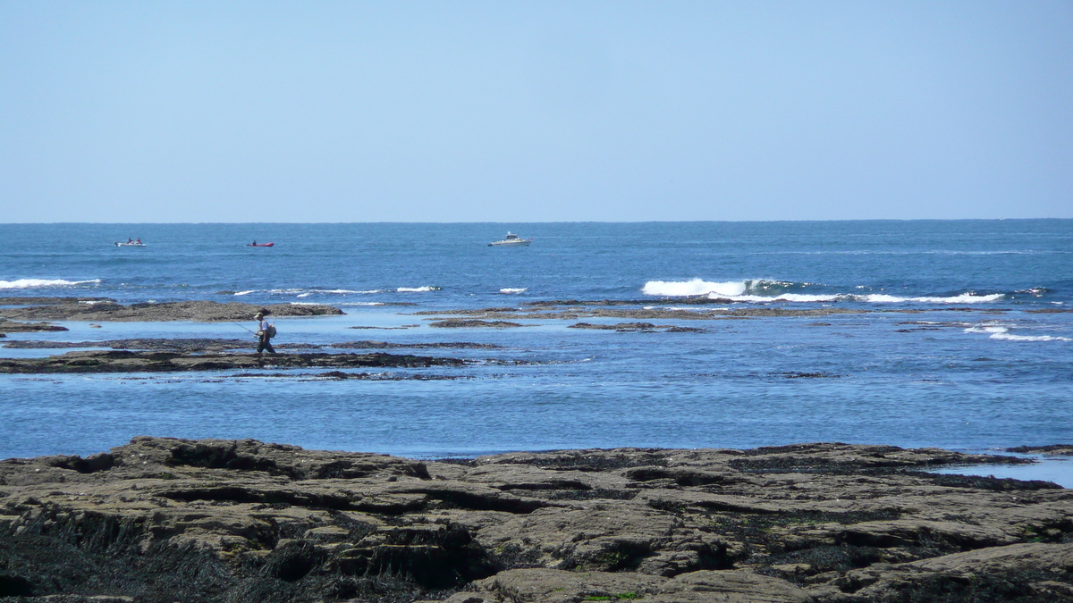 รูปถ่าย ฝรั่งเศส(France) เพรฟาย(Prefailles) แหลมแซ็ง-ฌีลดา(La pointe Saint Gildas) 2007-08 19