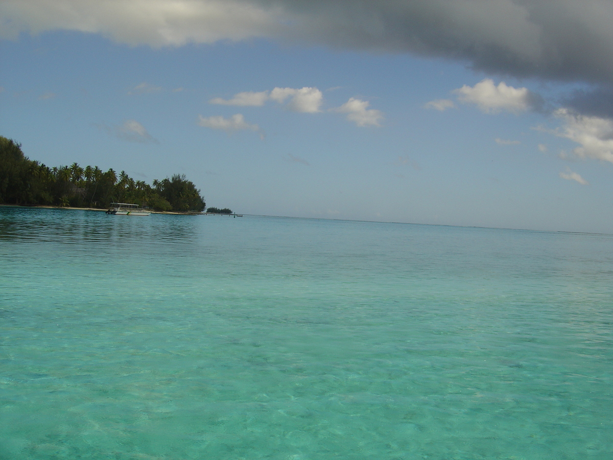 รูปถ่าย เฟรนช์โพลี่นีเซีย(Polynesia) มูเรีย(Moorea) 2006-04 5