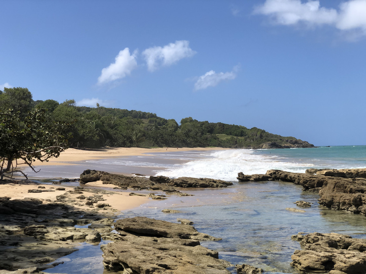 รูปถ่าย กวาเดอลูป(Guadeloupe) หาดกลูญี(Clugny Beach) 2021-02 9