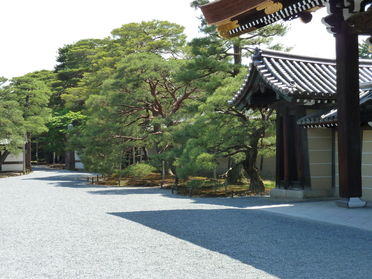 รูปถ่าย ญี่ปุ่น(Japan) เกียวโต(Kyoto) พระราชวังหลวงเกียวโต(Kyoto Imperial Palace) 2010-06 138