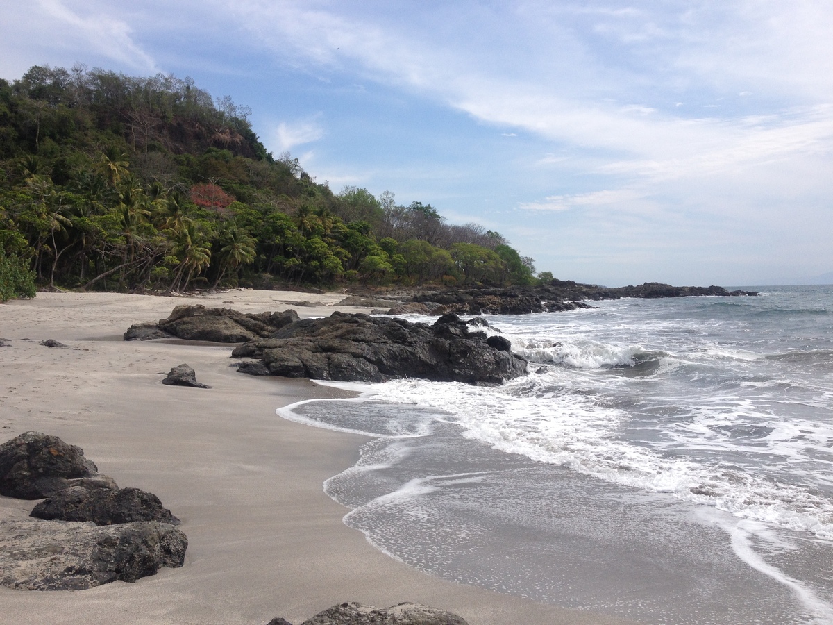 รูปถ่าย คอสตาริกา(Costa Rica) มอนเตซูมา(Montezuma) 2015-03 594