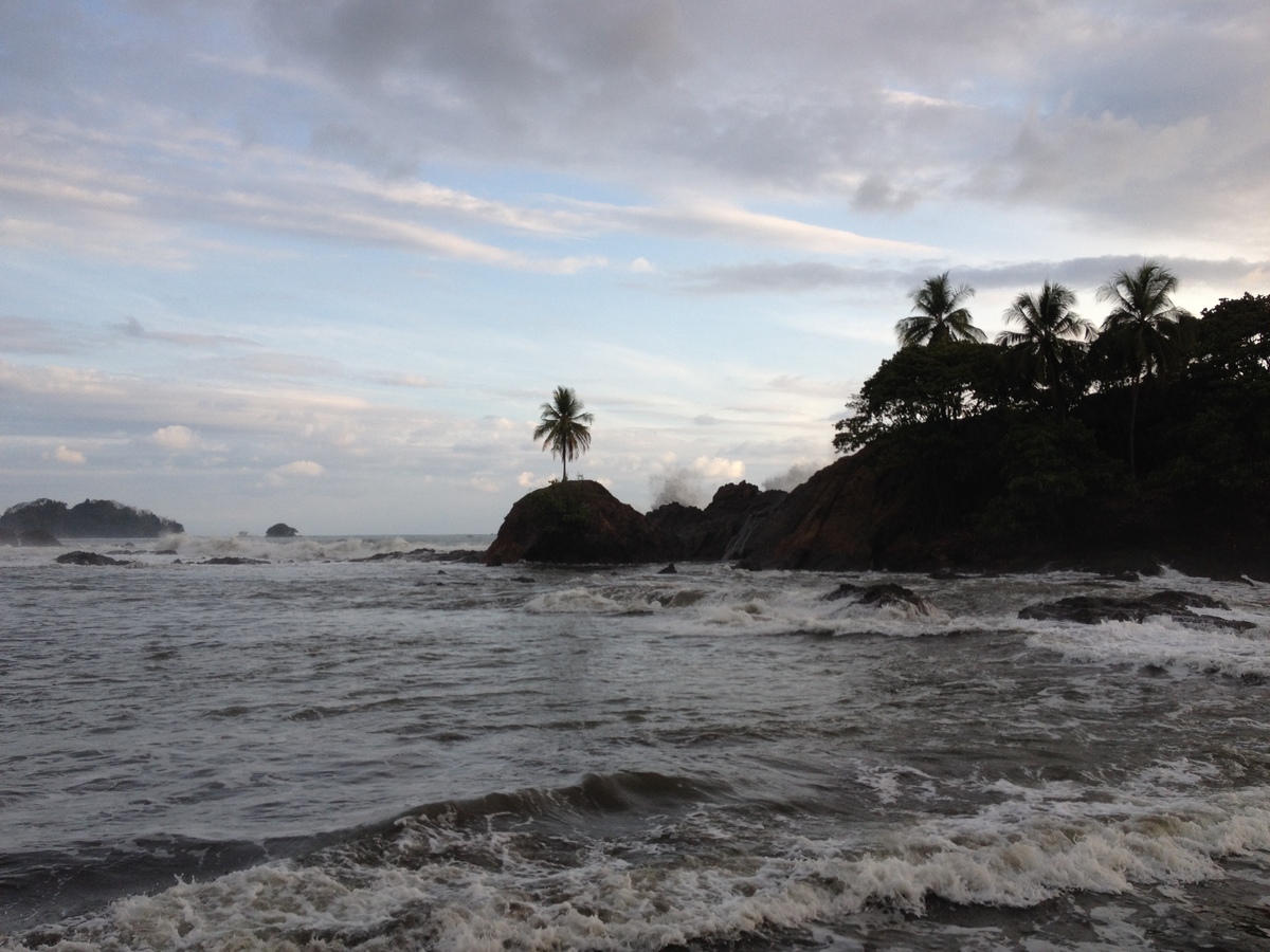 รูปถ่าย คอสตาริกา(Costa Rica) โดมินิกัล(Dominical) 2015-03 151