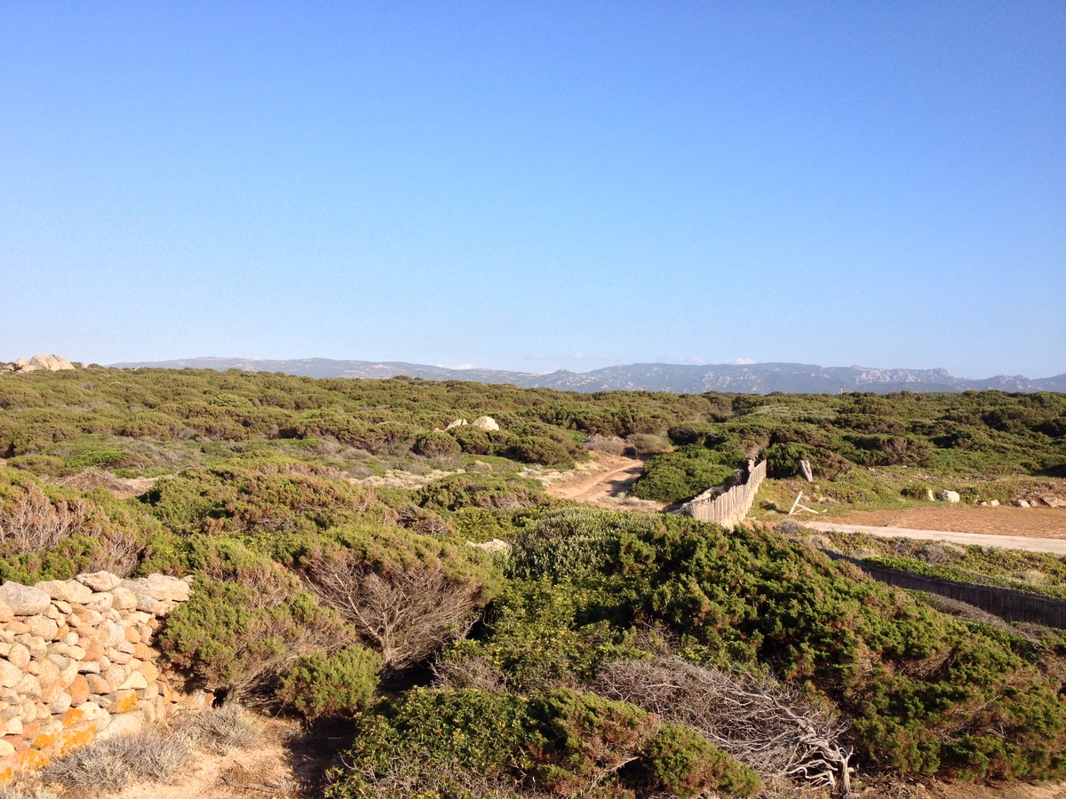 รูปถ่าย อิตาลี(Italy) ซาร์ดิเนีย(Sardinia) ปอร์โตเบลโลดีกัลลูรา(Portobello di Gallura) 2015-06 9