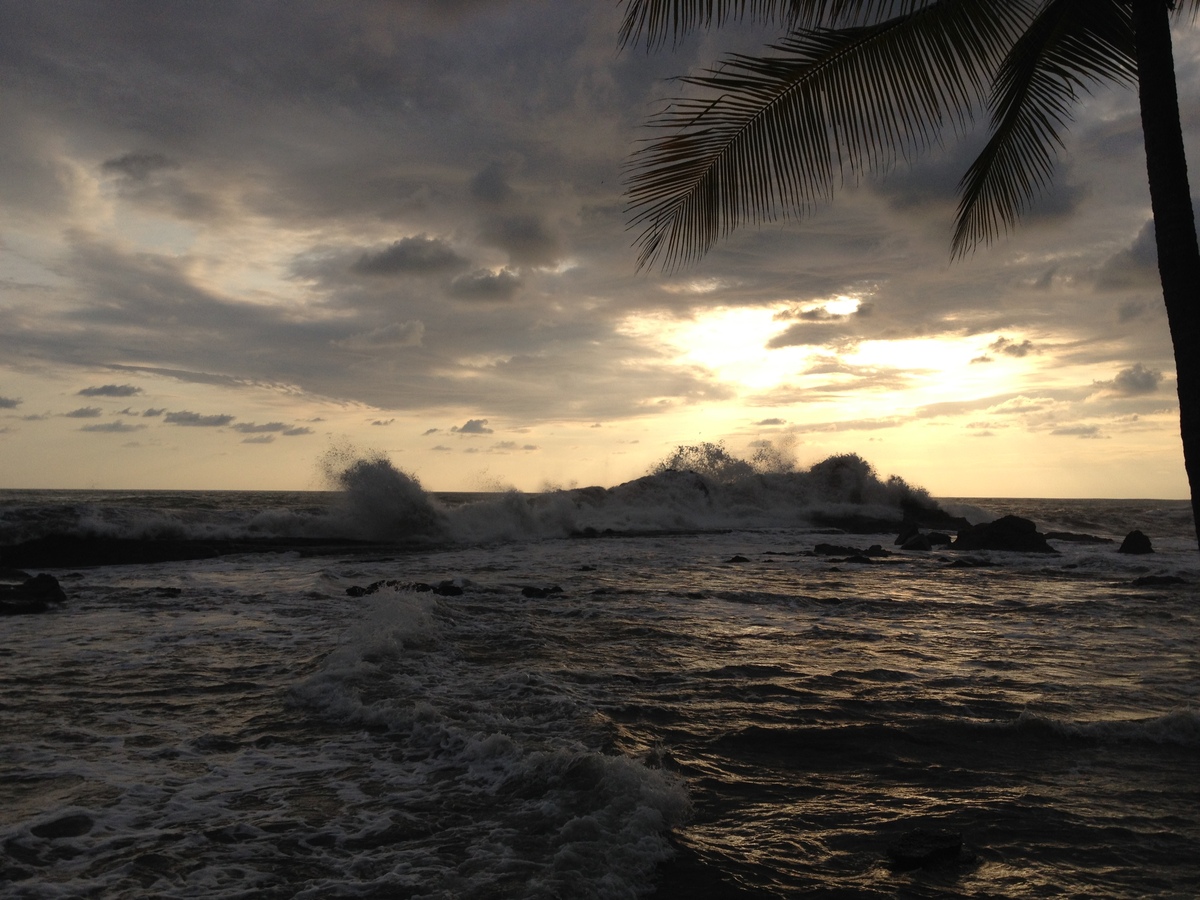 รูปถ่าย คอสตาริกา(Costa Rica) โดมินิกัล(Dominical) 2015-03 4