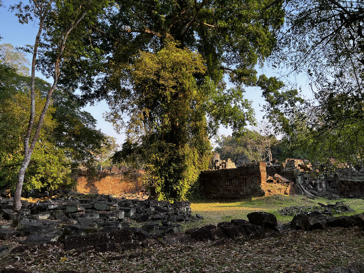 รูปถ่าย กัมพูชา(Cambodia) เสียมราฐ(Siem Reap) ปราสาทพระขรรค์(Preah Khan) 2023-01 66