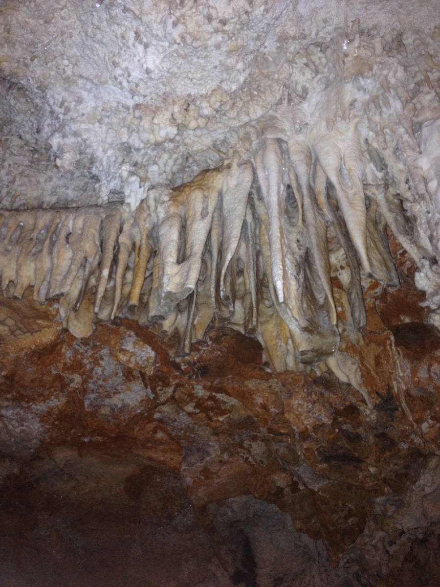 รูปถ่าย อิตาลี(Italy) ซาร์ดิเนีย(Sardinia) แหลมกาโปกัชชา(Capo Caccia) 2015-06 79