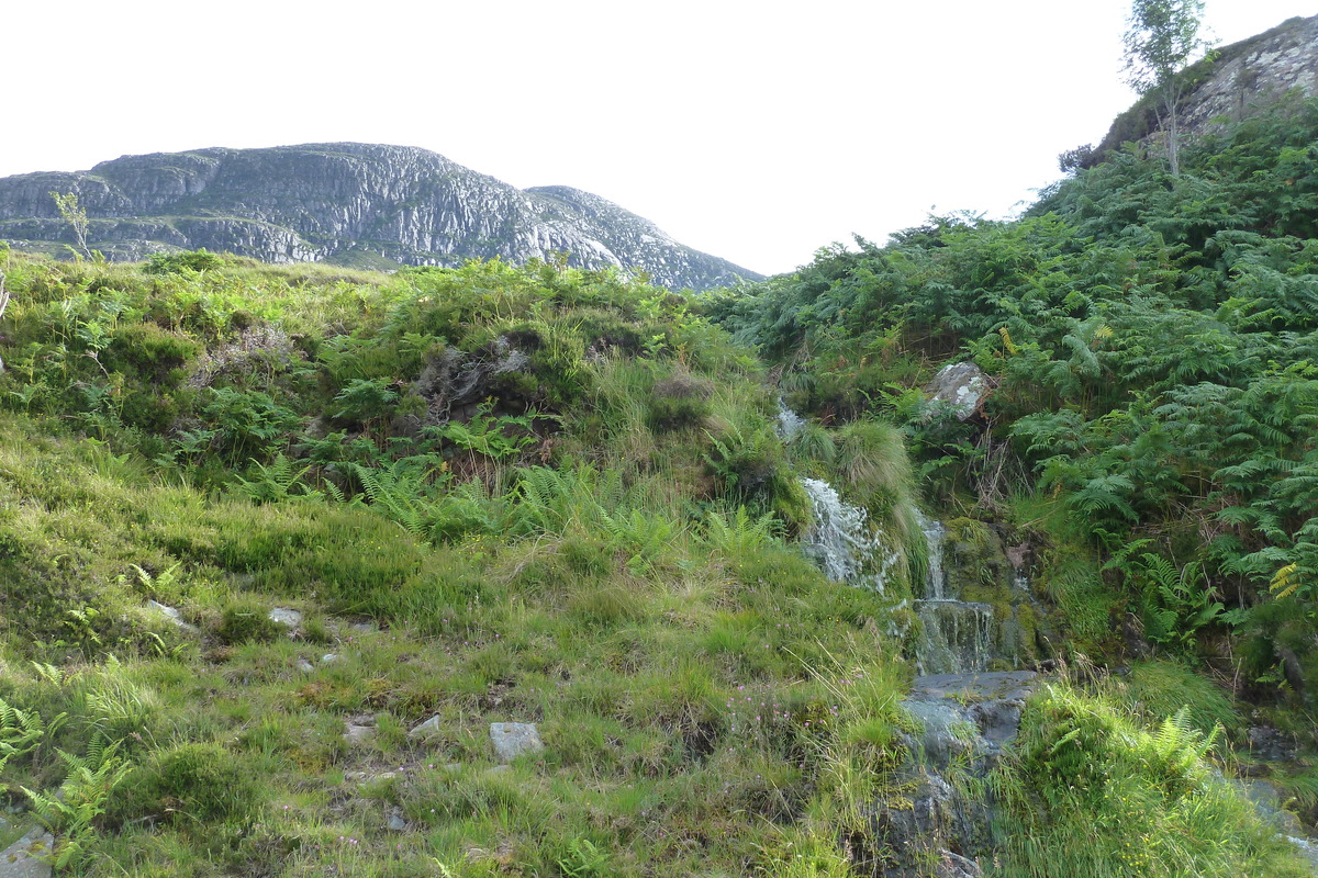 รูปถ่าย อังกฤษ(United Kingdom) เวสเตอร์รอสส์(Wester Ross) 2011-07 85