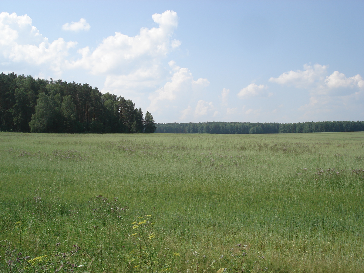 รูปถ่าย รัสเซีย(Russia) อูรัล(Ural) 2006-07 74