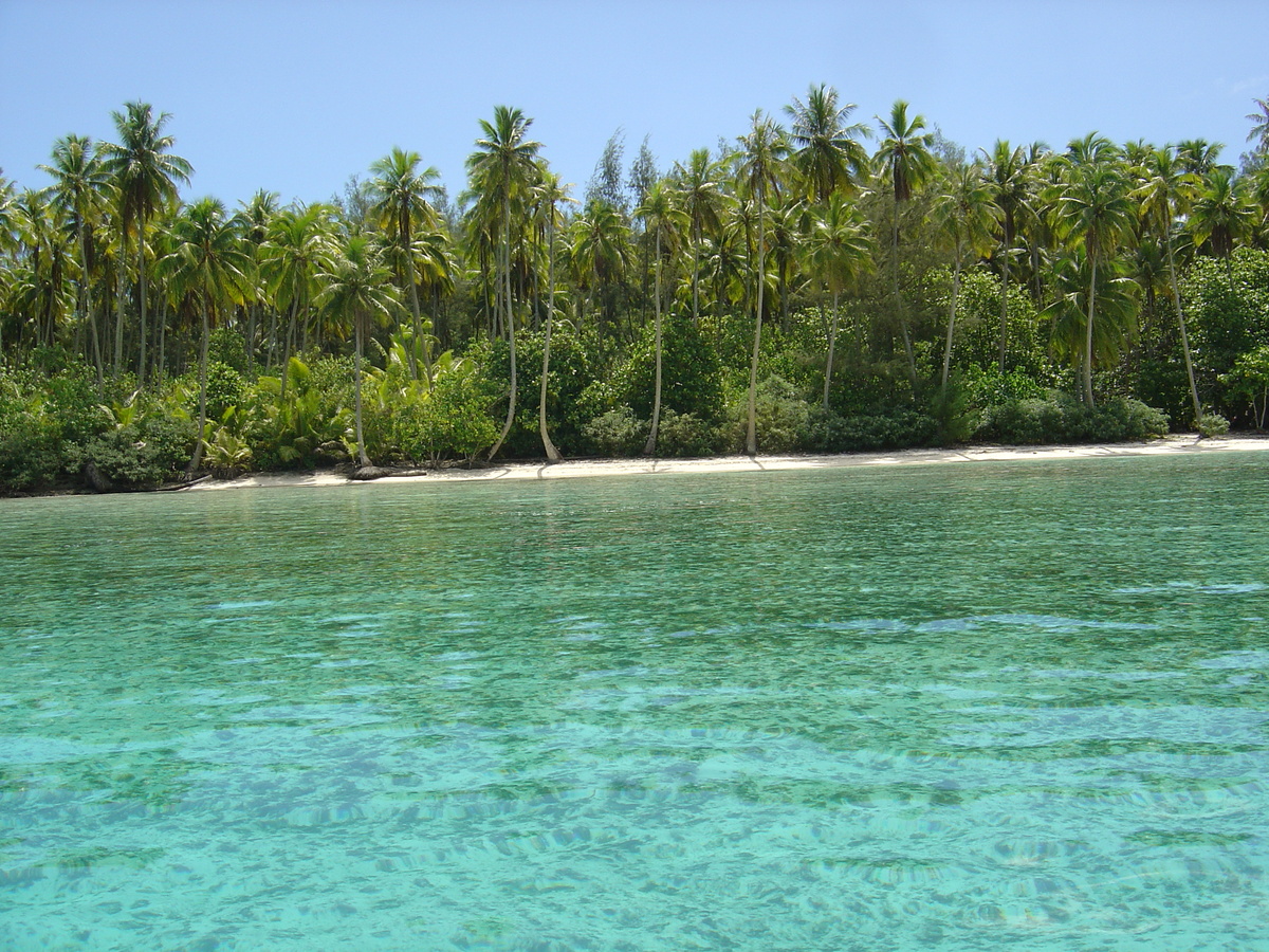 รูปถ่าย เฟรนช์โพลี่นีเซีย(Polynesia) มูเรีย(Moorea) 2006-04 209