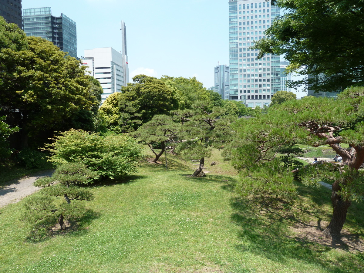 รูปถ่าย ญี่ปุ่น(Japan) โตเกียว(Tokyo) สวนคิวชิบะริคิว(Kyu Shiba rikyu Gardens) 2010-06 54