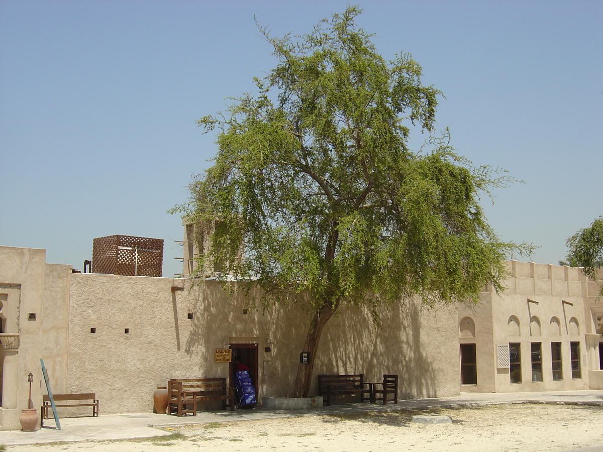 รูปถ่าย สหรัฐอาหรับเอมิเรตส์(United Arab Emirates) ดูไบ(Dubai) 2005-03 116